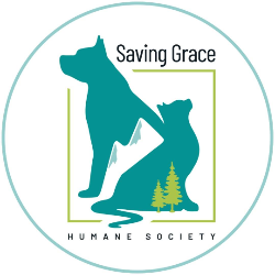Saving Grace Inc