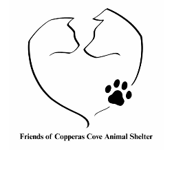 shelter logo