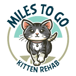 shelter logo