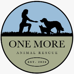 shelter logo