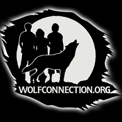 shelter logo