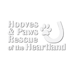 shelter logo