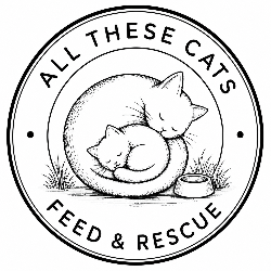 shelter logo