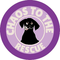 shelter logo