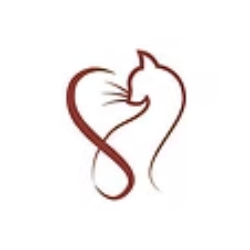 shelter logo