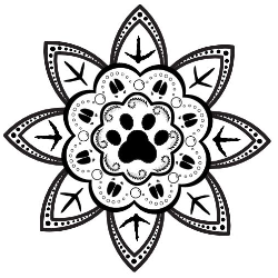 shelter logo