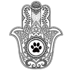 shelter logo