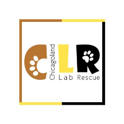 shelter logo