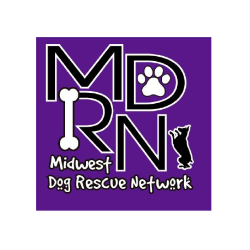 shelter logo