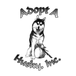 shelter logo