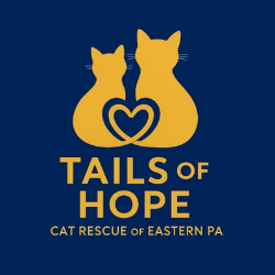 shelter logo