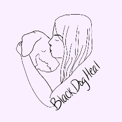 shelter logo