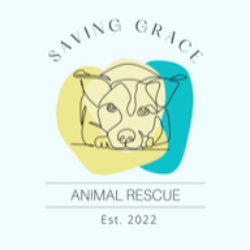 shelter logo