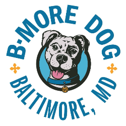 shelter logo