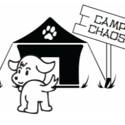 shelter logo