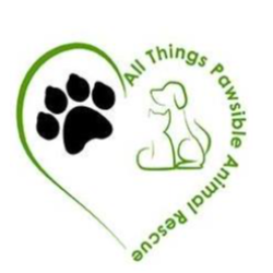 shelter logo
