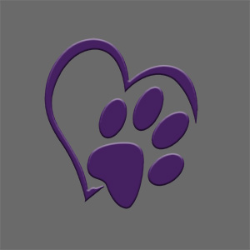 shelter logo