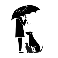 Rain or Shine Rescue