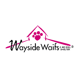 shelter logo