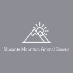 shelter logo