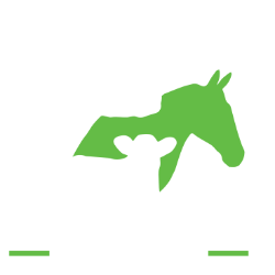 shelter logo