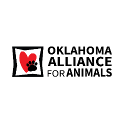 shelter logo