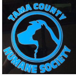 shelter logo