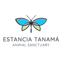 shelter logo