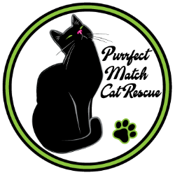 shelter logo
