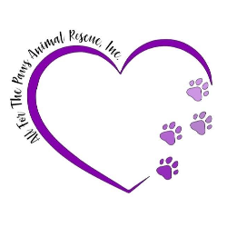 shelter logo