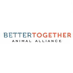 shelter logo