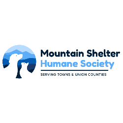 shelter logo