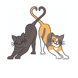 shelter logo