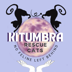 shelter logo
