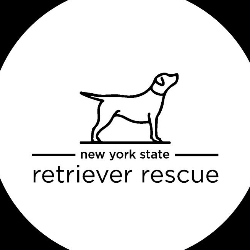 shelter logo