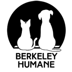 shelter logo