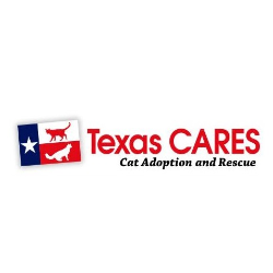 shelter logo