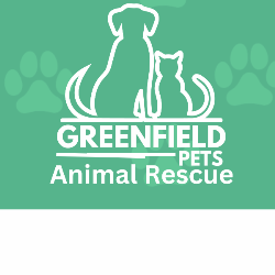 shelter logo