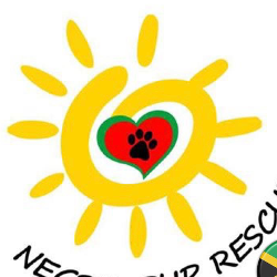 shelter logo