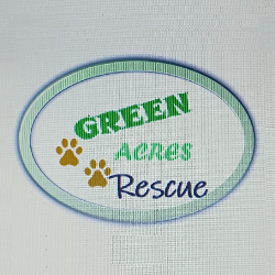 shelter logo
