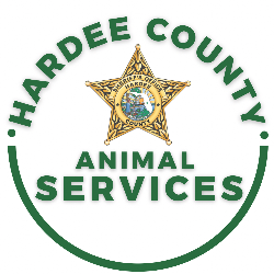 shelter logo
