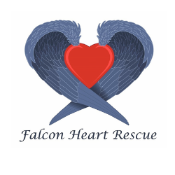 shelter logo