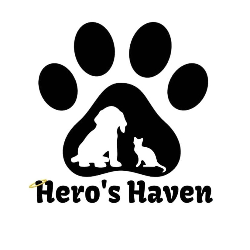 shelter logo