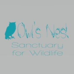 shelter logo
