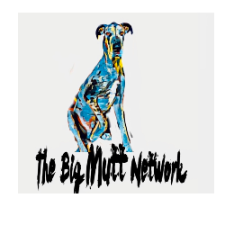 shelter logo
