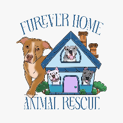 shelter logo