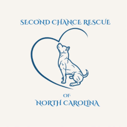 shelter logo
