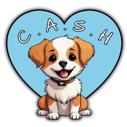shelter logo