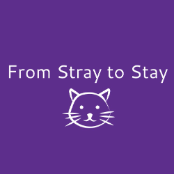 shelter logo