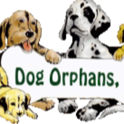 shelter logo